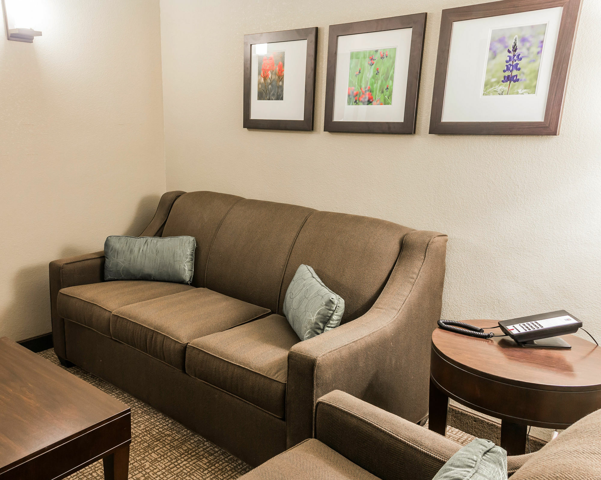 Comfort Inn&Suites Pharr/McAllen Eksteriør bilde